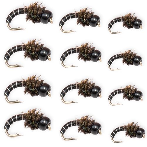 Nymphes zébrées en tungstène lot de 12 mouches truite tailles 18-22