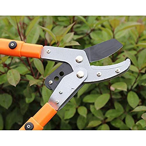 Tijeras de podar telescópicas para árboles de jardín, corte fácil para tijeras de podar de calidad para jardinería, tijeras de podar de trinquete resistentes, extensibles de 66 a 101 cm para toda