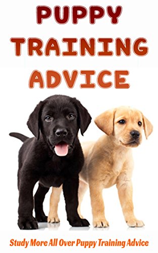 Puppy Training Advice: Study More All Over Puppy Training Advice