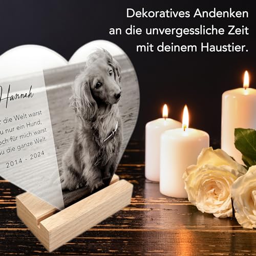 DEL MÀ Unique & Personal Andenken an verstorbenen Hund Bild Gedenktafel aus Acrylglas zur Erinnerung & Trauer personalisiert Glasherz mit Foto Geschenk für Hundebesitzer inkl. Holzfuß 20x22 cm (Herz)