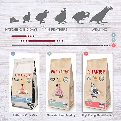 Psittacus High Energy Hand-Feeding 1 kg | Brei für Yacos, Aras und andere afrikanische Papageien | Premium Vogelfutter 100% Nicht-GMO