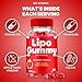 Lipo Gummy, Official Lipo Gummies Keto ACV Supplement - Maximum Strength, Keto+ ACV Gummys, All Natural Support Formula ACV+B12 Gummy, Advanced Formula LipoGummy Reviews (2 Pack)