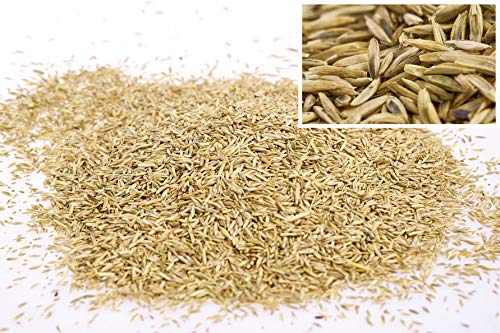 Foto von WOLF Garten WOLF-Garten - Turbo-Nachsaat Schatten L-RS 100