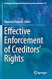 Effective Enforcement of Creditors Rights (Ius Gentium: Comparative Perspectives on Law and Justice)