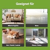 Ecodor UF2000 4Pets Uringeruch Entferner 500ml | 100% Biologischer Urin-Geruchsentferner für Katzen und Hunde Uringeruch | Parfümfrei, Effektiv für Haustiere | Anwendbar auf Holz, Beton, Textilien