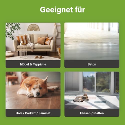 Ecodor UF2000 4Pets Uringeruch Entferner 500ml | 100% Biologischer Urin-Geruchsentferner für Katzen und Hunde Uringeruch | Parfümfrei, Effektiv für Haustiere | Anwendbar auf Holz, Beton, Textilien