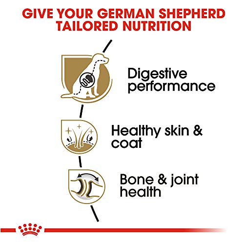 Royal Canin German Shepherd Adult Dry Dog Food, 30 Lb Bag #TOP2