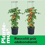 Zoom IMG-2 plantemus concime per pomodori e Zoom IMG-2 plantemus concime per pomodori e