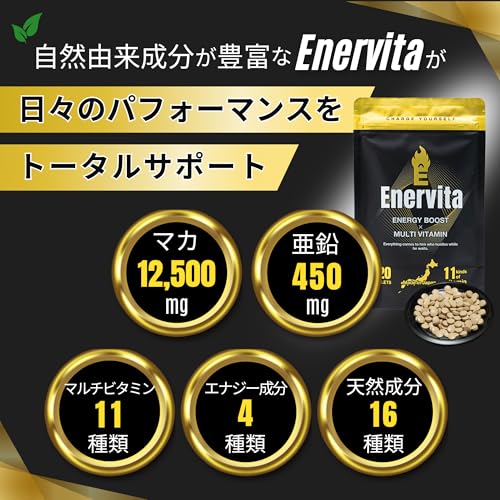 マカ サプリ 亜鉛 マルチビタミン アルギニン 120粒 - 画像 1