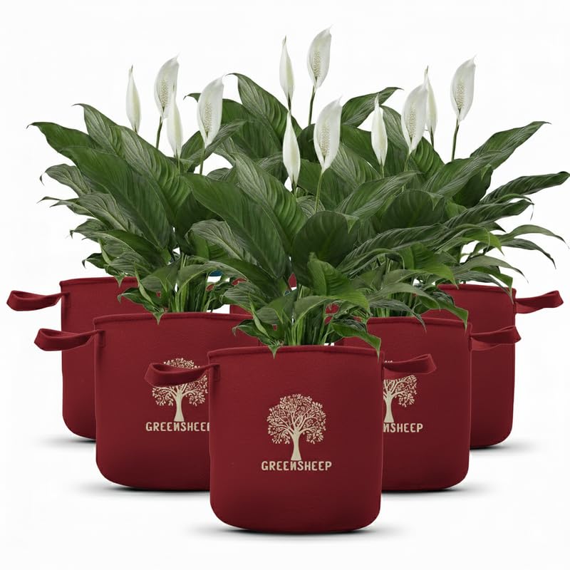 Image of GREENSHEEP Geo Fabric Grow Bags for Terrace Gardening, Balcony, Vegetables, Plants, Fruits and Flower with Handles - Breathable and Reusable Plant Bags for Indoor (Red) (Pack of 5) (Size-24x24)
