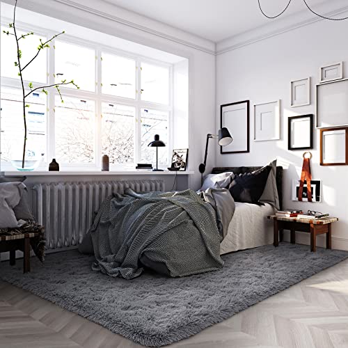 HOMORE Grey Rugs for Bedroom, 4x6 Feet Fluffy Area Rug Modern Shag Rugs for Living Room, Super Soft Rug for Kids Room, Cute Carpets for Boys Nursery Teens Dorm Decor, Gray Rug for Home Indoor Floor