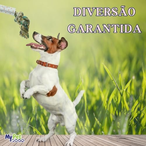 Brinquedo de Corda Dental Bone com Nó Pequeno, Multicor, 13 cm, My Pet Brasil