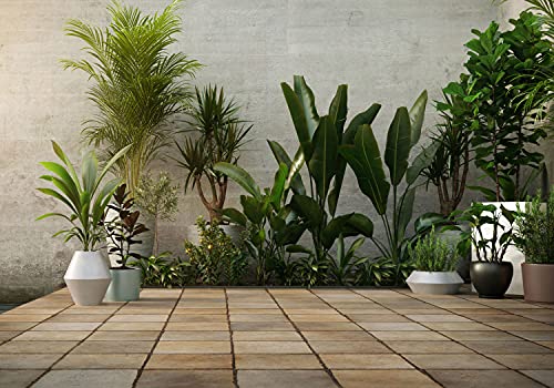 decomonkey | Papier peint intissé Plantes 350x256 cm Trompe l oeil | Déco Mural Tableaux Muraux Photo Nature Fleurs Vert Tarras Botanique Feuilles