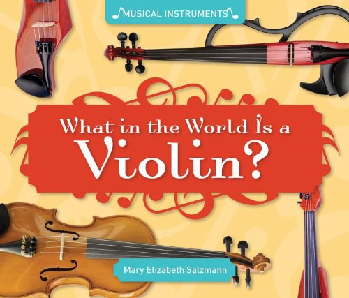 What in the World Is a Violin? (Musical Instruments)