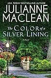  The Color of a Silver Lining: Volume 13 (The Color of Heaven Series)
