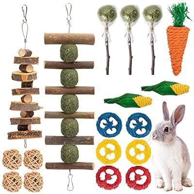 18 PCS Rabbit Toys Bunny Chew Toys for Teeth Guinea Pigs Hamster Chew Toys for Dental Health 100% Natural Apple Wood Grass Ball String Loofah Carrot Toys