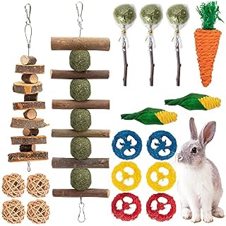 GIONAR 18 PCS Rabbit Toys, Rabbit Chew Toy for Teeth, Bunny Hamster Chew Toys 100% Natural Apple Wood Grass Ball String Loofah Carrot, Bunny Toys for Rabbits, Chinchillas, Hamsters