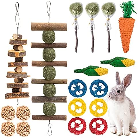 GIONAR 18 PCS Rabbit Toys, Rabbit Chew Toy for Teeth, Bunny Hamster Chew Toys 100% Natural Apple Wood Grass Ball String Loofah Carrot, Bunny Toys for Rabbits, Chinchillas, Hamsters Cover