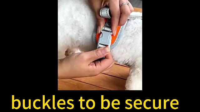 No Pull Dog Harness Adjustable Reflective Medium Large Dog Harness Easy Control Front Clip Padded Pet Vest Breathable Puppy Harness Escape Proof (Black, S) - image 8