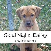 Good Night, Bailey 1519253184 Book Cover