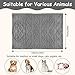 Neerow Hundedecke, 70x100 cm Katzendecke Sofa, Hunde Decke Waschbar, Fleece Haustier Decke Flauschig für Kleine und Mittelgroße Hunde, Katzen Kuscheldecke (Grau)