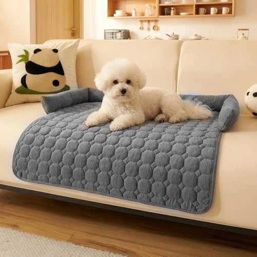 MCTNCT Cuccia Cani Media Protezione Divano Animali Domestici Cuscino Cani Coperta Lavabile Per Canis Con Bordo Antiscivolo Per Cani Di Taglia Grande E Media Piccola Gatto 75 X 75 Cm Grigio Scuro