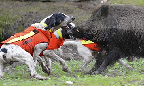 CANIHUNT HUNDESCHUTZWESTE Dog Armor v2 (TECKEL)