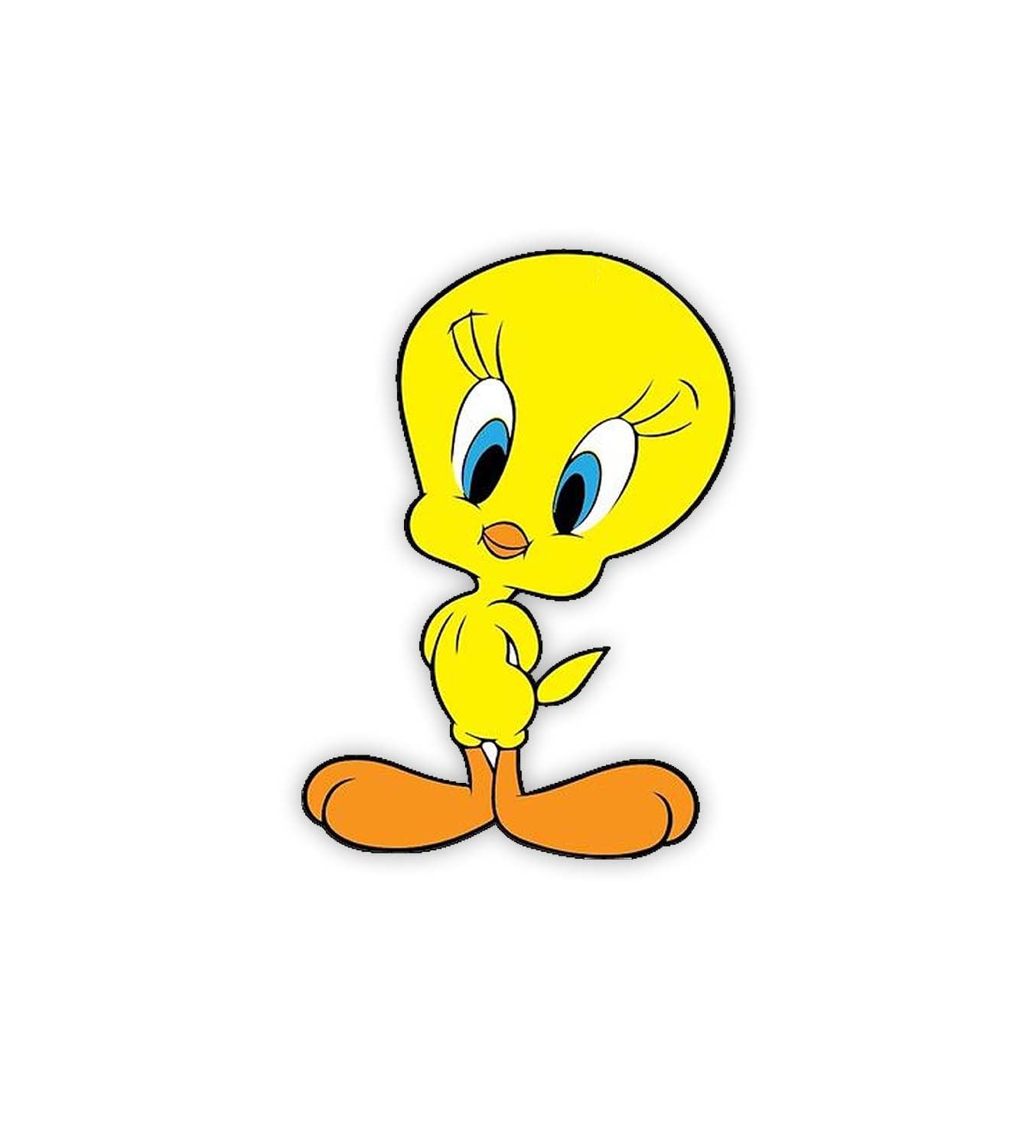 Gift Me Bazar Cute Animal Printed Fridge Magnet for Refrigerator Door Decor | Home, Kitchen and Office Decoration Multicolor | Animal Lover Gift | Cartoon Theme Magnet for Kids (Tweety Bird)-image-32