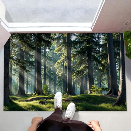 Tapis souple lavable absorbant à profil bas pour entrée de maison