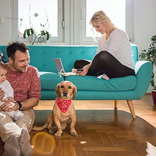 HACRAHO Collare a bandana per cani, 4 pezzi