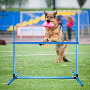 Shappy 4 Pieces Dog Agility Equipment with Adjustable Height Jump Bars Adjustable Dog Agility Jumps with Carry Bag Exercise Dog Jumping Hurdles for Indoor Outdoor Dog Agility Course Game (Blue)