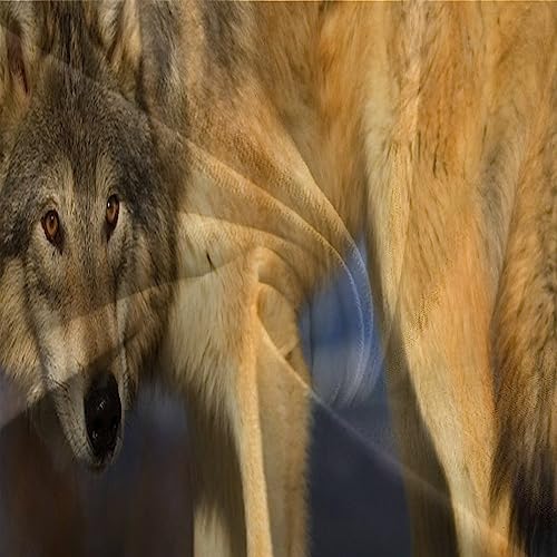 Juego de funda de edredón con diseño wolf impresión 3D microfibra premium de tres piezas 7