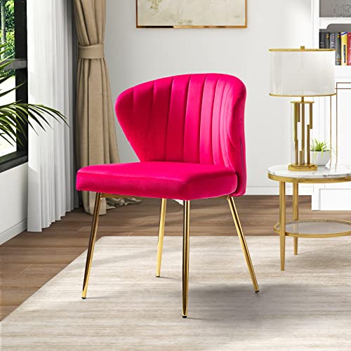 Hulala Home Velvet Dining Chairs, Modern Small Armless Accent Chair With Gold Metal Legs, Living Room Upholstered Cute Side Chair, Elegant Tufted Back Vanity Chair For Bedroom/Beauty Room-Fuchsia #TOP11