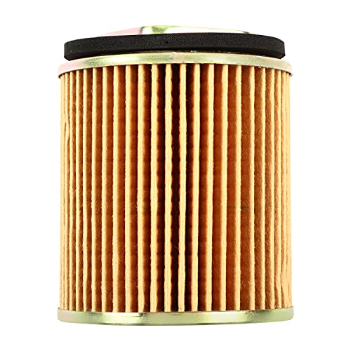 Haran High Grade Air Filter for Gladiator