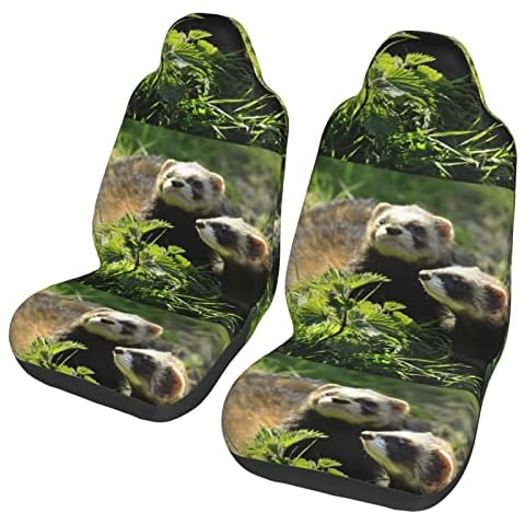 Evealyn Wildlife Ferret Printed 2 Pcs Automotive Seat Covers for Front with Elastic Straps Car Protector Seat Covers for Car SUV Truck Cover