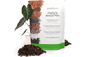 Molly's Aroid Mix: Premium Soilless Planting Mix for Lush Indoor Plants