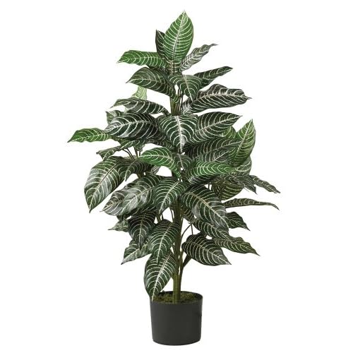 Nearly Natural Zebra Silk Plant, Green 3 ft.