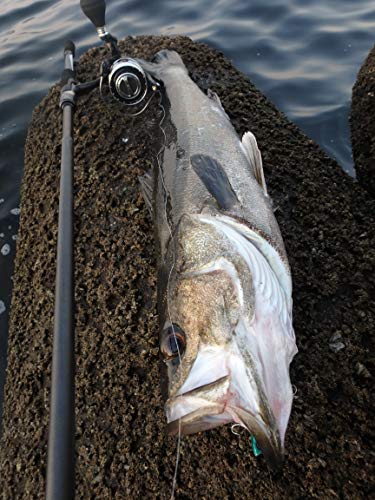 アブガルシア(Abu Garcia) エラディケーター エクストリーム EXTS-810MLF-TZ. スピニングロッド 2ピース シーバス スズキ ヒラスズキ 6枚目