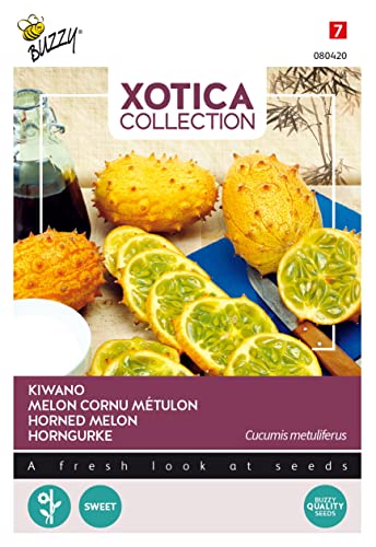 Buzzy Xotica Kiwano, concombre corné