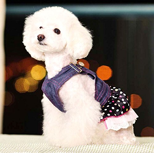 SMALLLEE_LUCKY_STORE Small Dog Dress Female Denim Overalls Vest Dots Print Lace Skirt Tiered Heart Shaped Pet Clothes S - Image 4