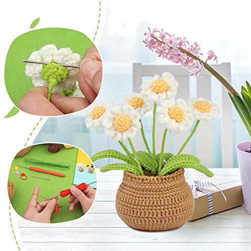 Image of kgxulr Crochet Kit, Little Daisy Knitting Kit, Crochet Kit for Beginners