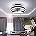 Stumm Deckenventilator mit Beleuchtung und Fernbedienung, Modern LED 24W Deckenleuchten, Dimmbar Leise Lüfterlicht zum Wohnzimmer Schlafzimmer Luxus Deckenlampe, Super Windgeschwindigkeit, Schwarz