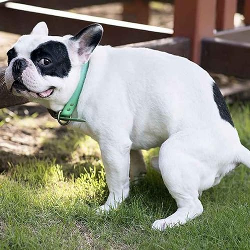 Old Skool like white shite