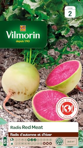 Vilmorin - Sachet graines Radis Red Meat