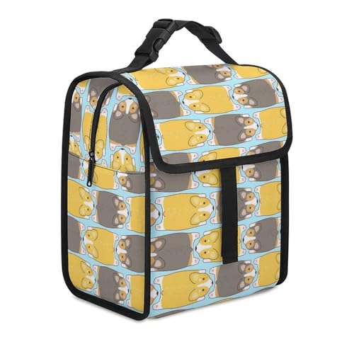 `obO  RM[ G ٓ `g[gobO sNjbNobO ۉobO A~ t@Xi[t ۉ ۗ h [ e 􂦂 y sNjbN Lv ^