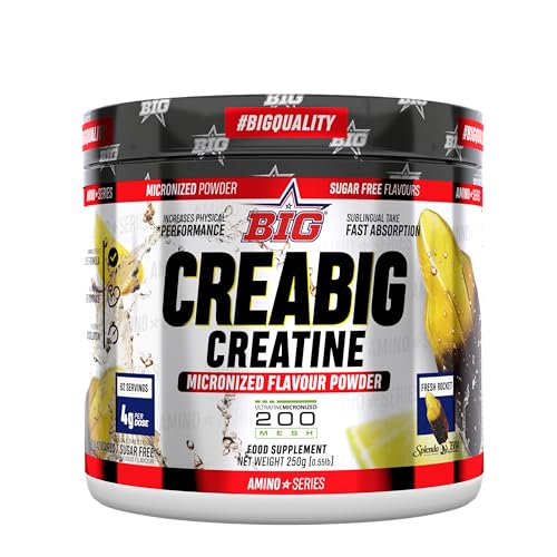 BIG - Creatina Monohidratada en Polvo - Mejora Rendimiento Físico y Recuperación - Creatina Monohidrato - UltraFine 200 mesh - Sabores Deliciosos, Rápida absorción, Vegana, (Sabor Fresh Rocket, 250g)