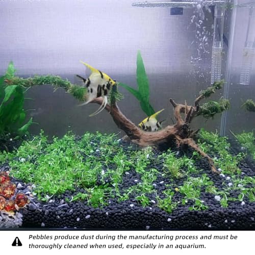 Image of CJGQ 45lb 1 /4 inch Small Pebbles Black for Plants,Potting,Succulents Aquarium Fish Tank Vases Decorative Garden Polished Gravel Rocks Stones