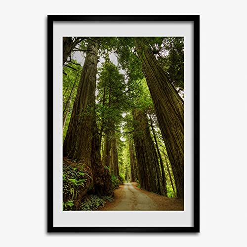Cadre en bois MDF Tulup de qualité supérieure pour affiche moderne 50x70 cm forêt