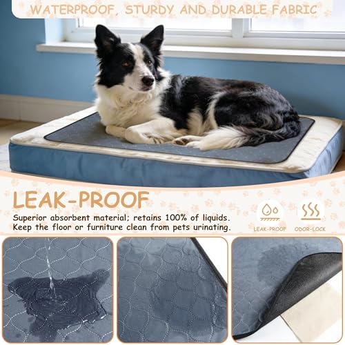 Tapis de propreté réutilisables absorbants lavables pour animaux