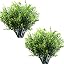 Eucalyptus Grass/8 Pcs